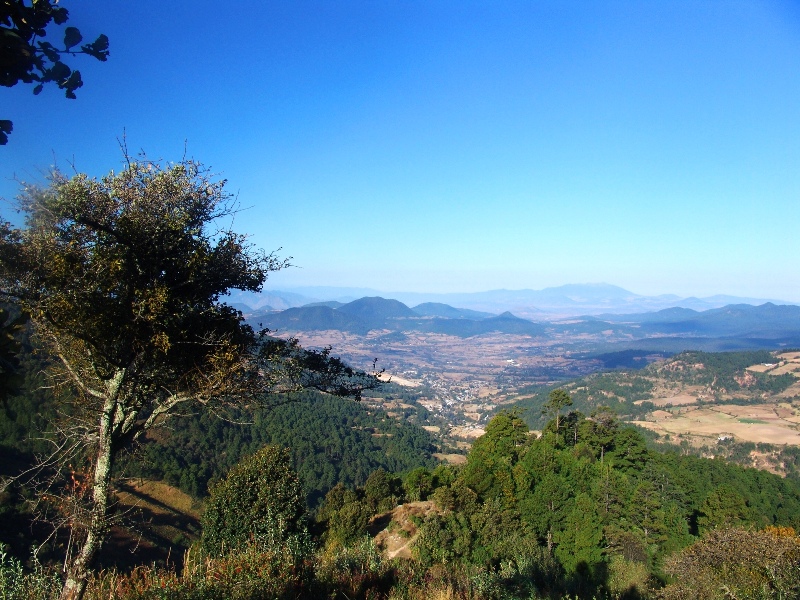 Monarca (2).JPG